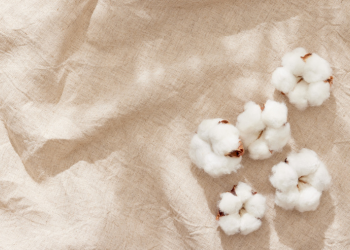 foto textil y algodón